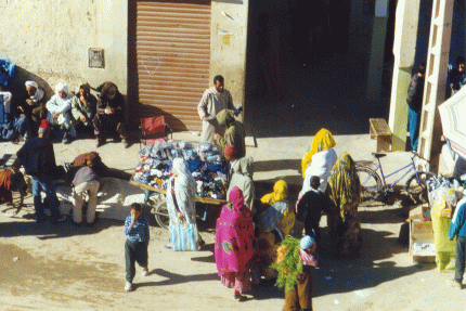 BerberMarket