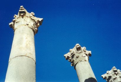 VolubilisColumns