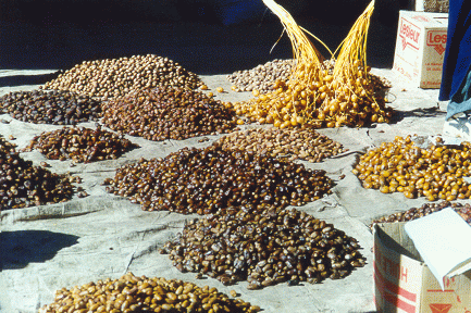 Dates