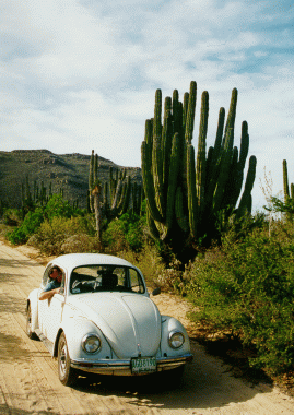 InCar